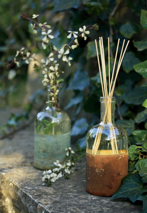 MIKADO ORGANICO      500ML ORGMIK52 CITR