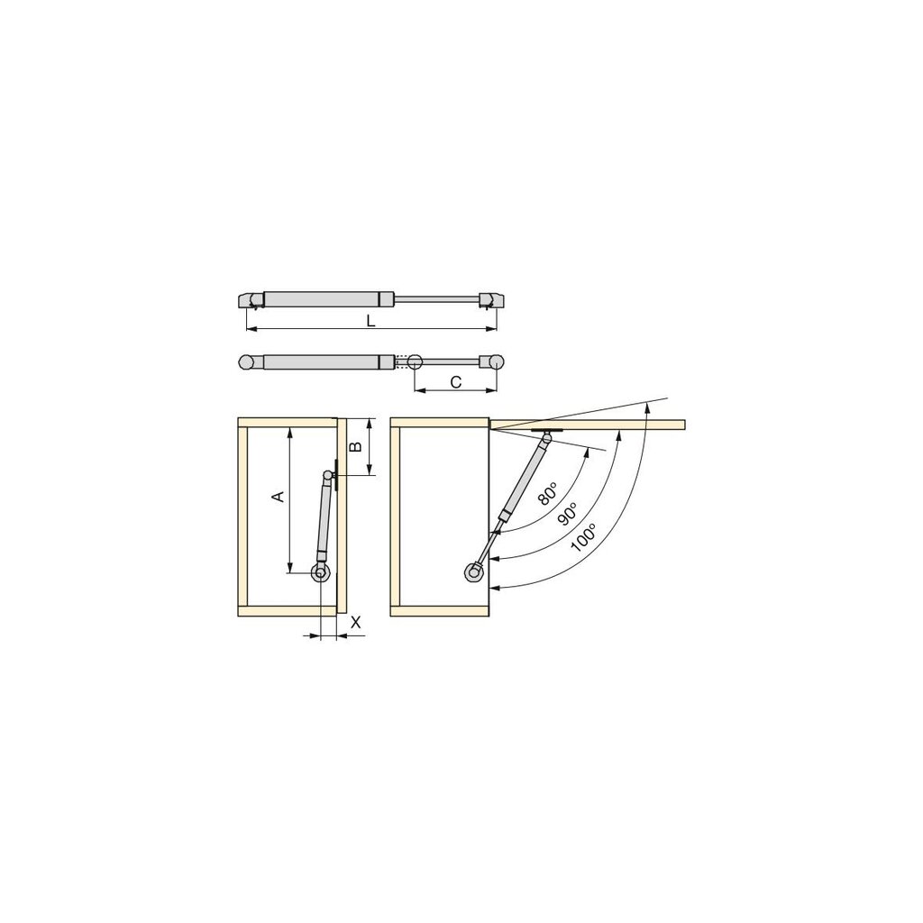 PISTON 20KG 100MM+ENG+TOR+INS 1244825 2