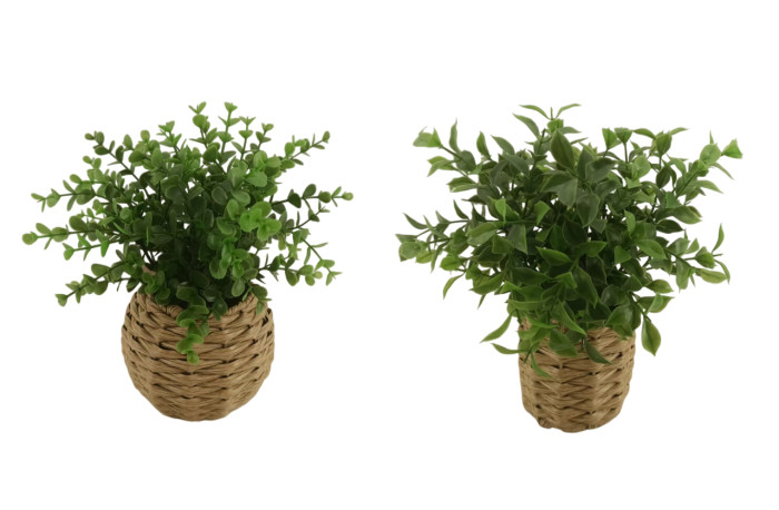 PLANTA ARTI./FIBRA    25X25X28 SURTIDO