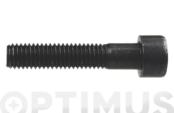 TORNILLO ALLEN DIN 912 8.814 X 80